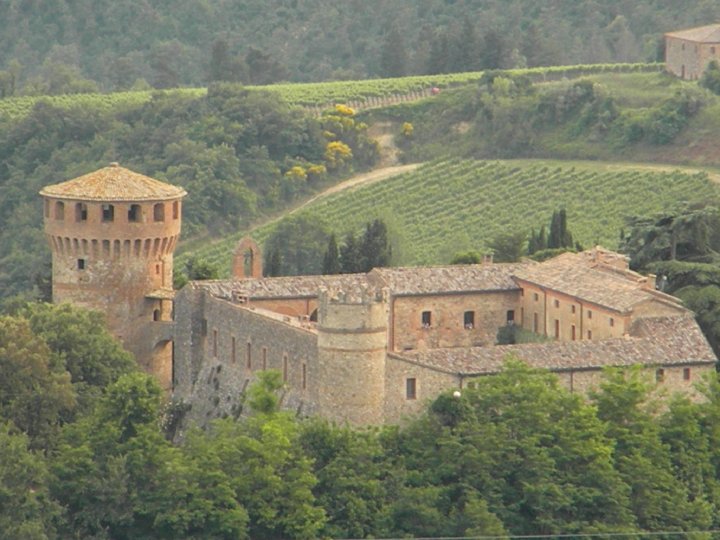 Cervaro della Sala (Antinori), il vino bianco italiano piÃ¹ cercato nel mondo per â€œWine-Searcherâ€.